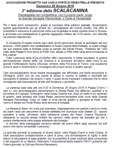 locandina scalacanina