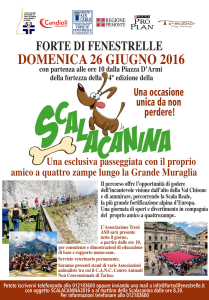 poster scalcanina2016