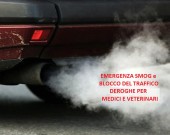 auto-inquinante-2