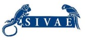 downloadSIVAE