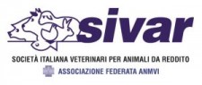 Logo-SIVAR-IT-300x127